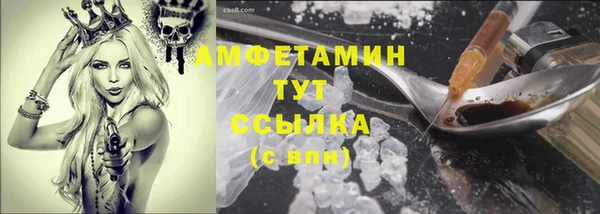 стаф Алзамай