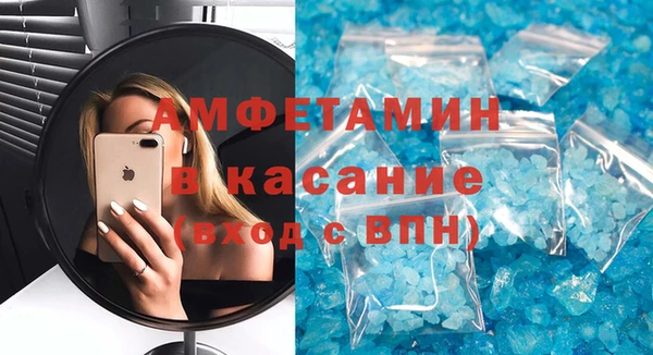 стаф Алзамай