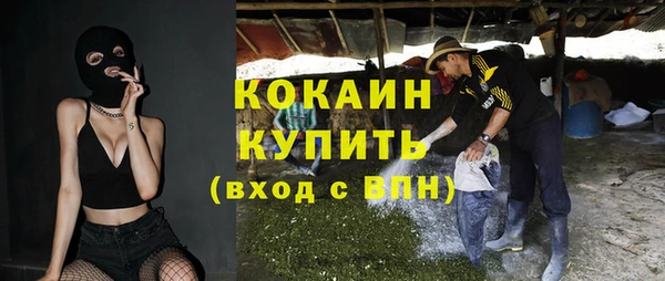 стаф Алзамай