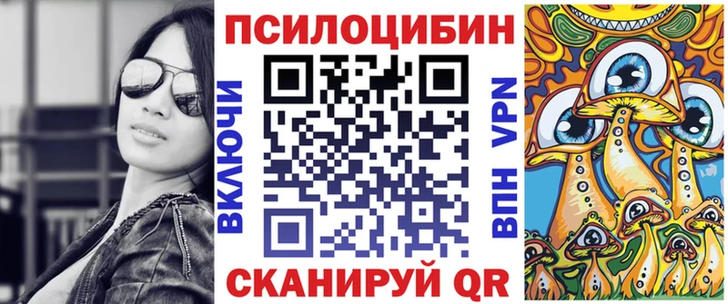 купить наркотики цена  сайты даркнета телеграм  Галлюциногенные грибы GOLDEN TEACHER  Хвалынск  МЕГА маркетплейс 